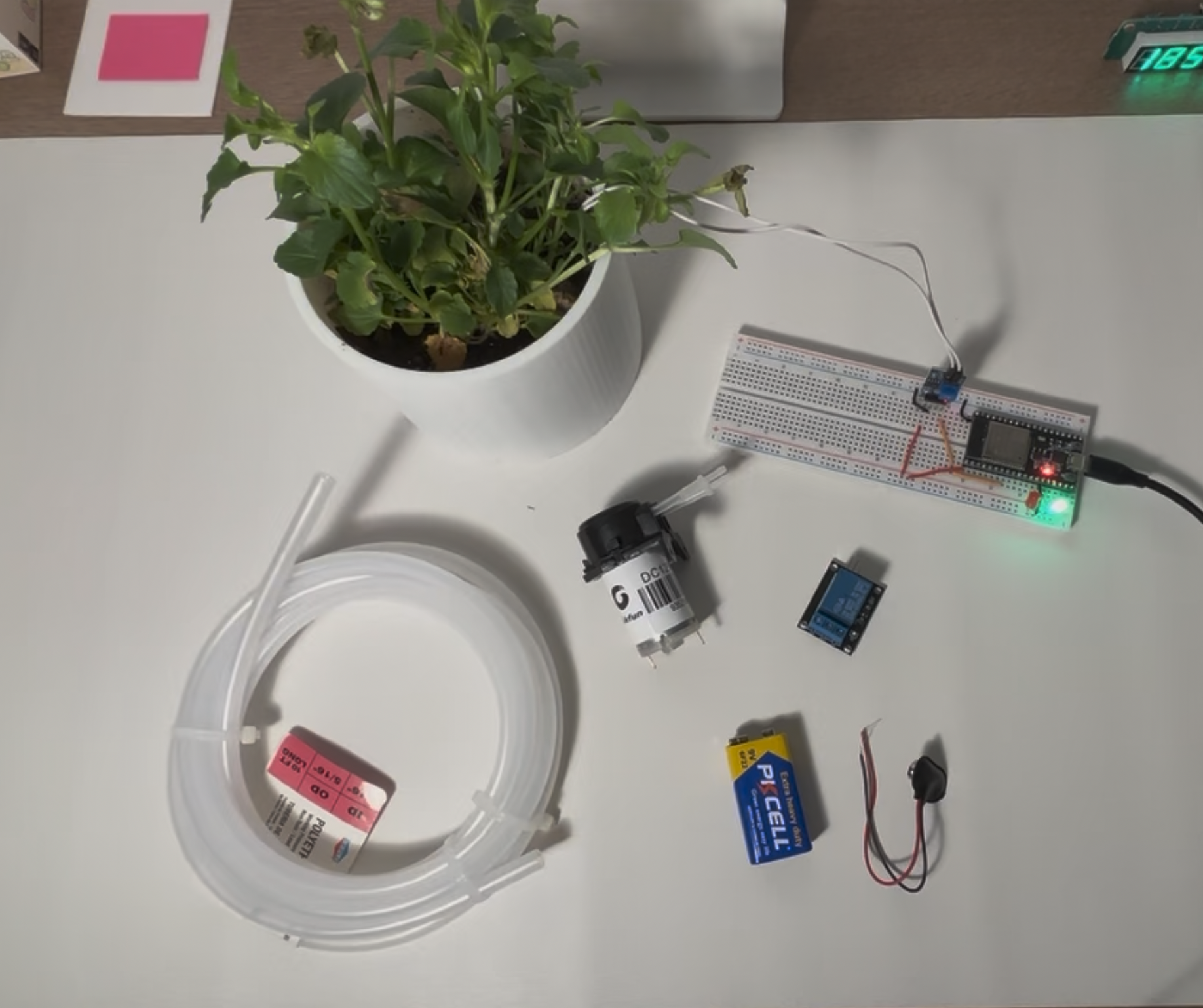Physical system setup